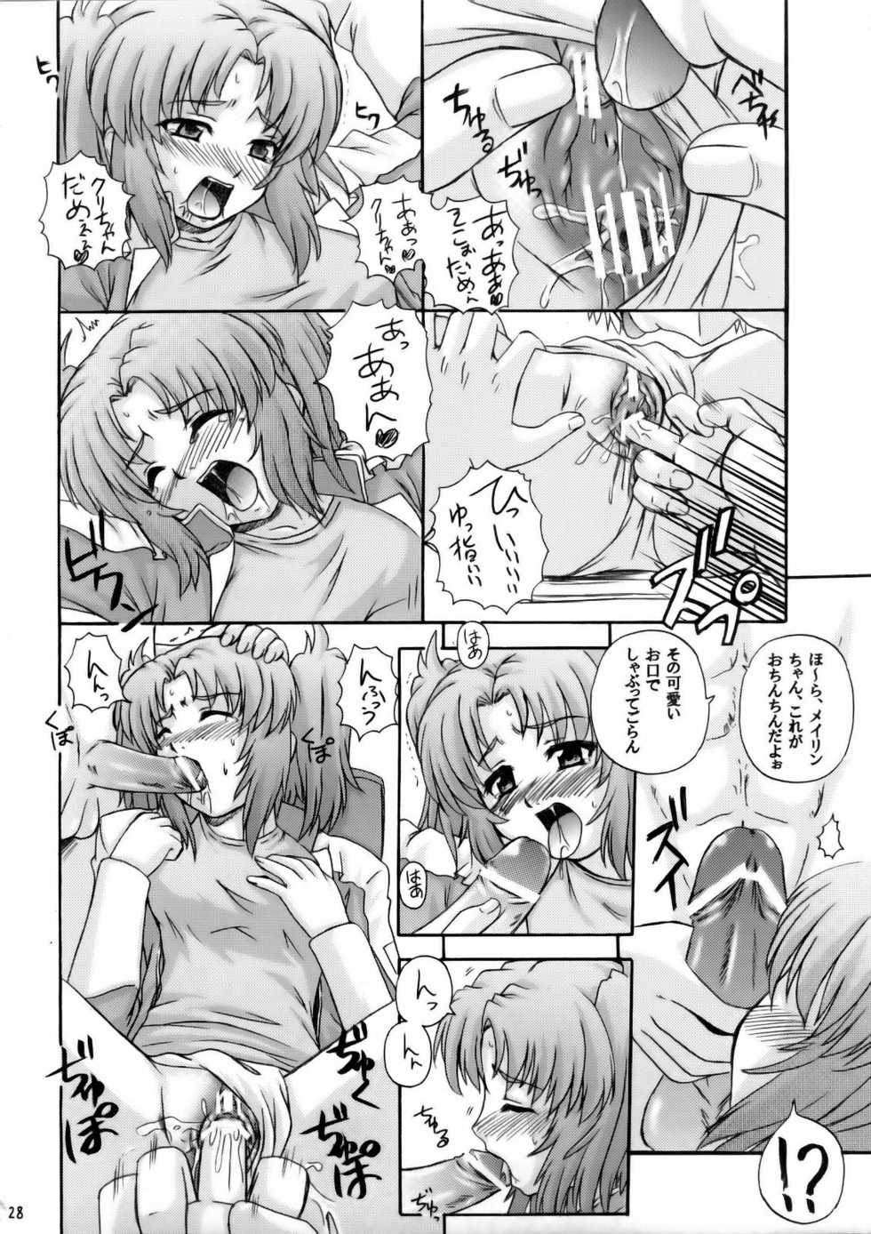 (C69) [G-R (Akiyama Kenta)] Tsuki ga Hoeru (Gundam SEED Destiny) - Page 27