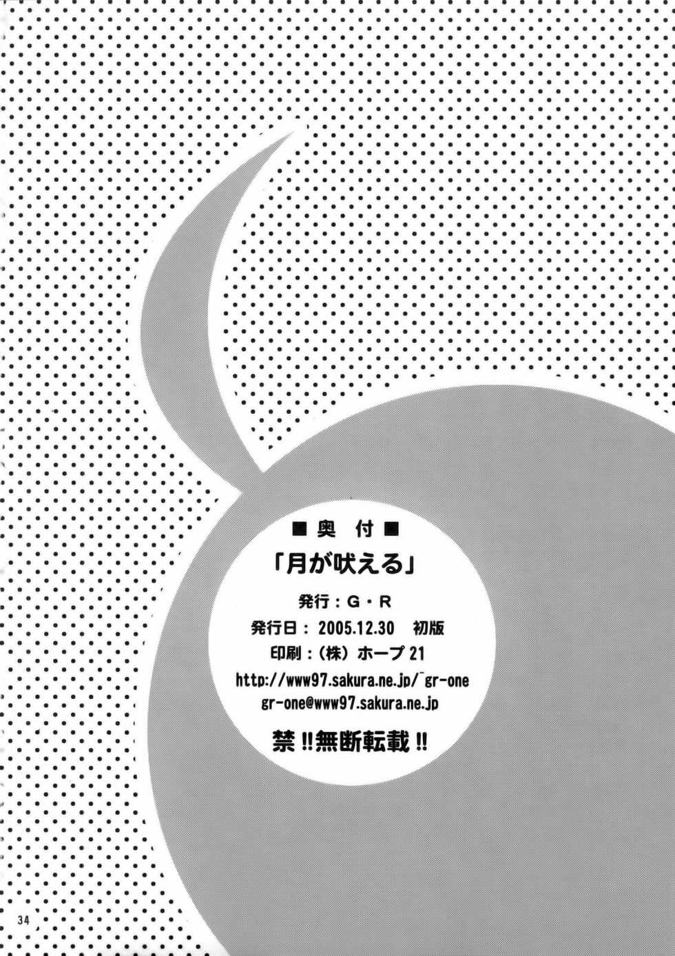 (C69) [G-R (Akiyama Kenta)] Tsuki ga Hoeru (Gundam SEED Destiny) - Page 33