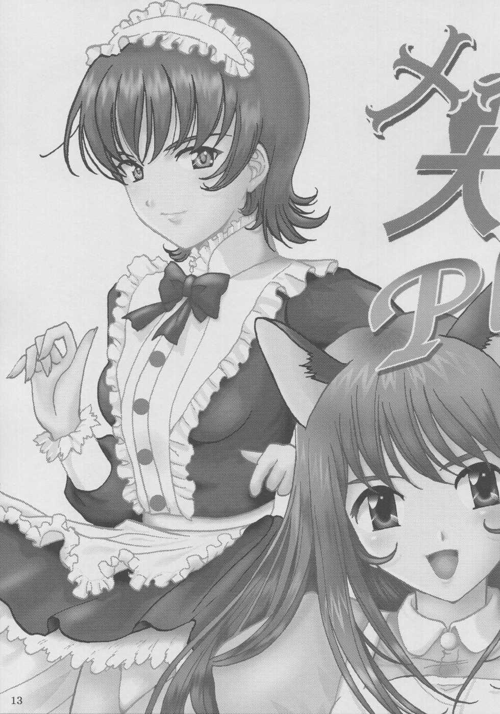 (CR33) [Huzinami Koubou (Huzinami Kaoru)] Maid Taisen Plus (Sakura Taisen 3) - Page 12