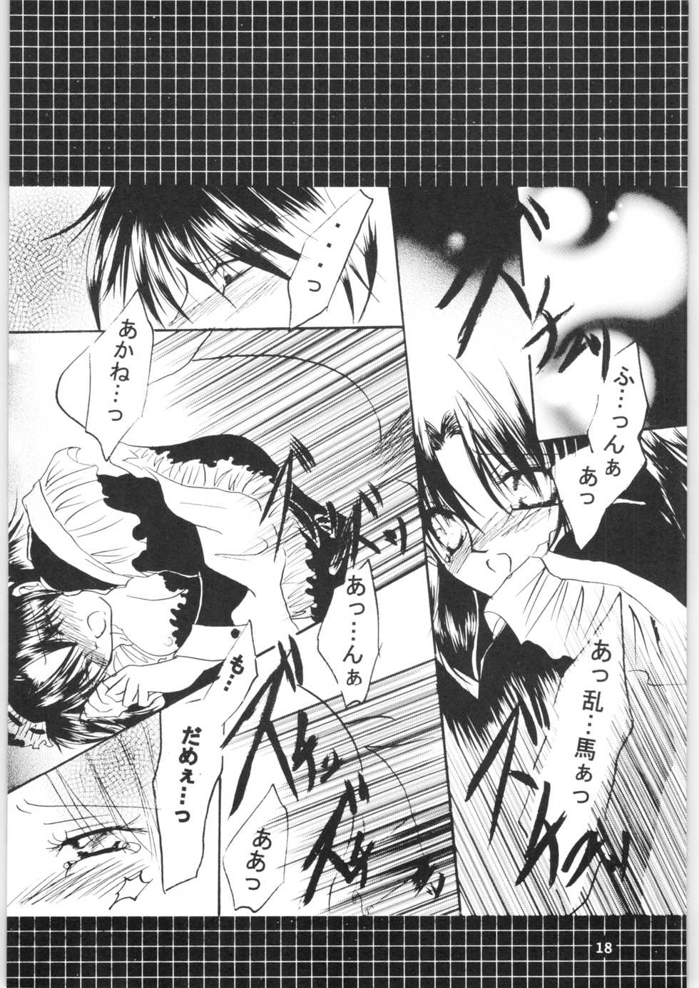 [office fairy (Kisaragi Mizuka, Kamiryou Kaduki)] Strawberry Cinderella (Ranma 1/2) - Page 17