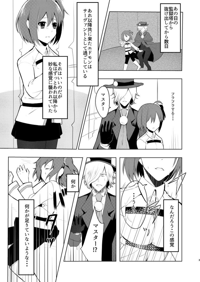 (C91) [Aoikoyubi (Mitsuna)] Ensemble Nightmare (Fate/Grand Order) [Sample] - Page 2
