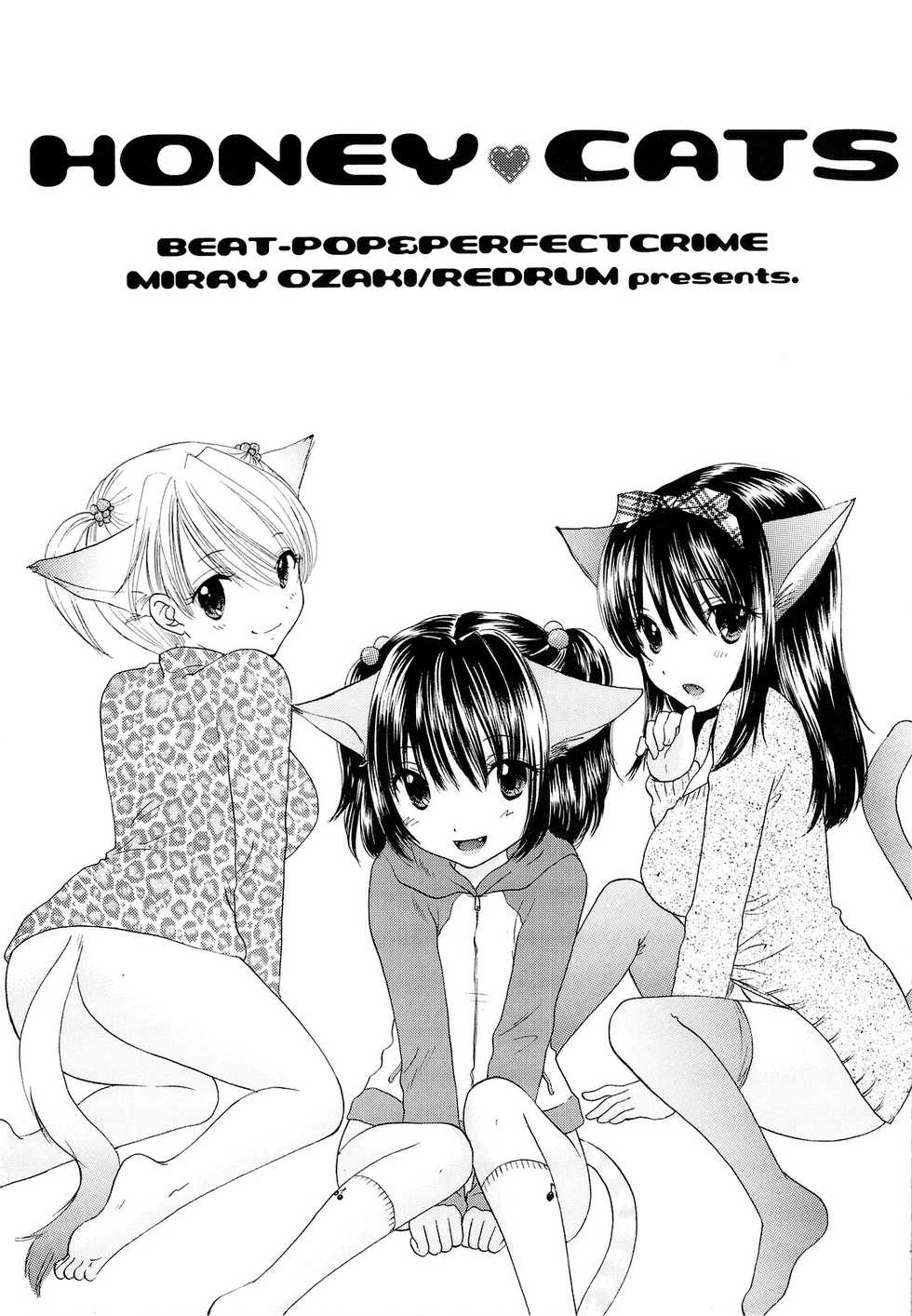 (C75) [BEAT-POP (Ozaki Miray)] HONEY CATS [English] [N04h] - Page 2