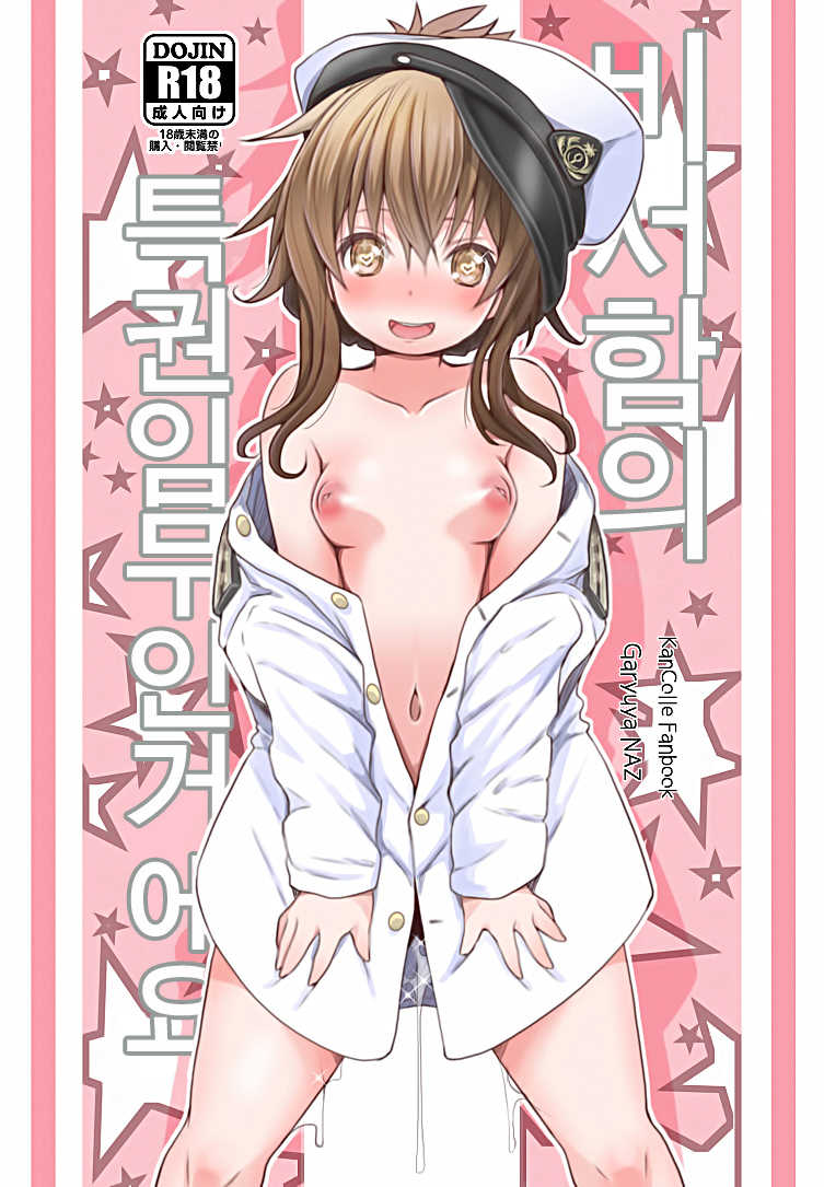 (C95) [GaRyuuYa (NAZ)] Hishokan no Tokken Ninmu nano desu  | 비서함의 특권 임무인 거에요  (Kantai Collection -KanColle-) [Korean] - Page 1
