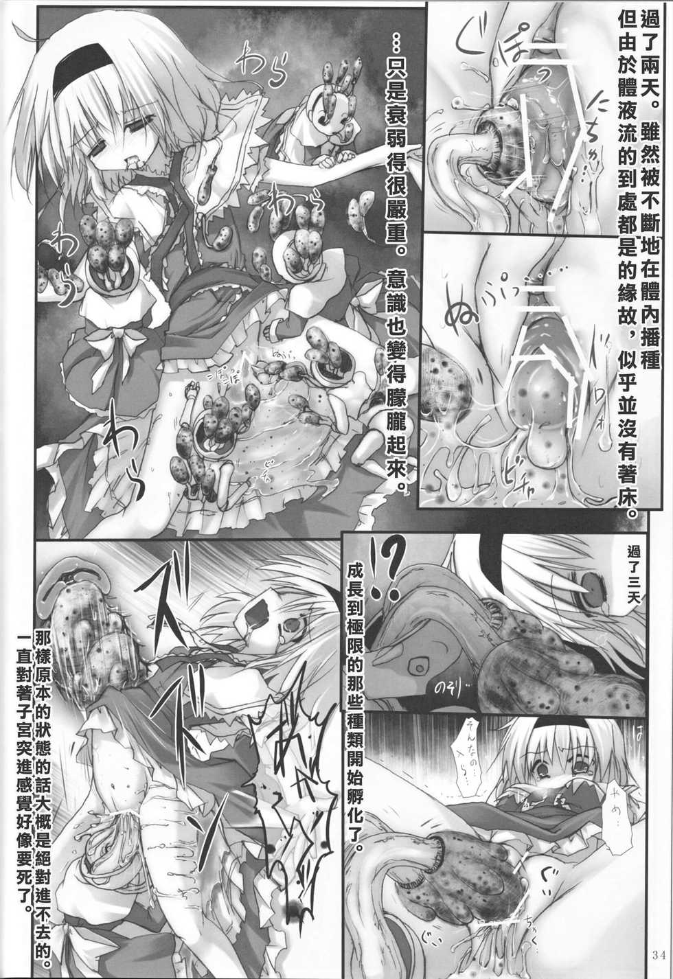 (C83) [Suzunaridou (Izumi Yukiru)] Alice in Nightmare (Touhou Project) [Chinese] [靴下汉化组] - Page 35