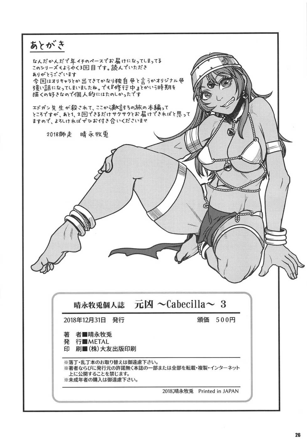(C95) [METAL (Harunaga Makito)] Genkyou ~Cabecilla~ 3 (Dragon Quest IV) - Page 25