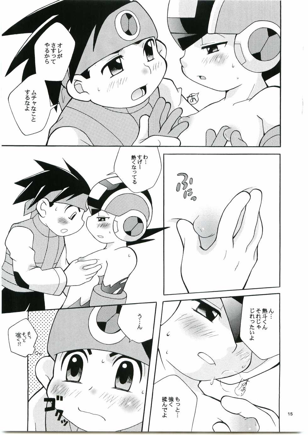 [Haraguro Tenshi (Narukami)] DOLCE LATTE (Rockman.exe) - Page 14