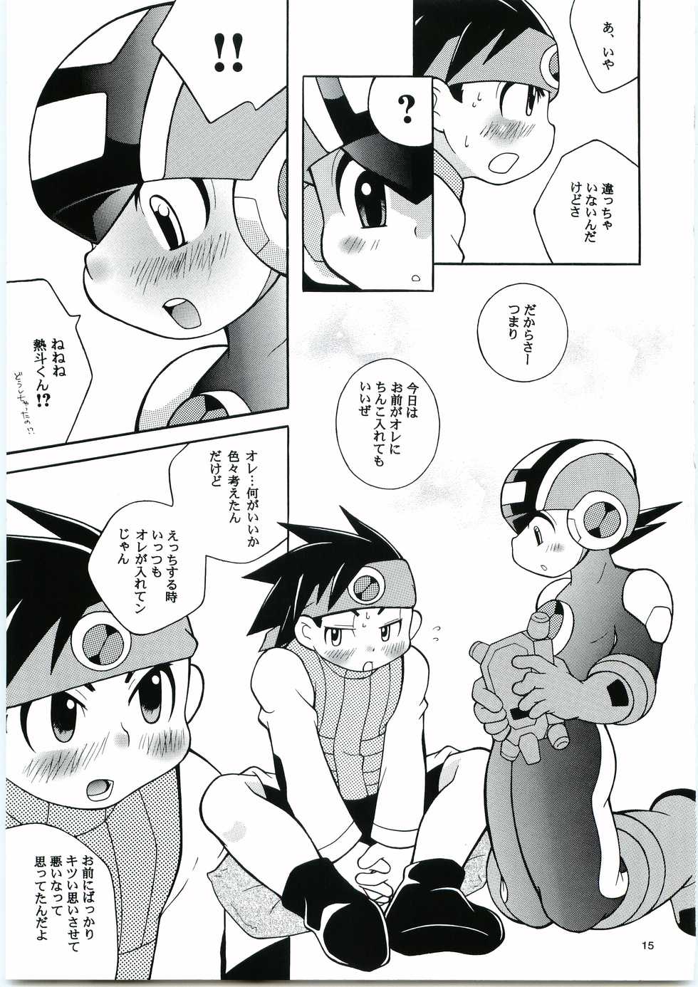 [Haraguro Tenshi (Narukami)] Buon Compleanno! (Rockman.EXE) - Page 14