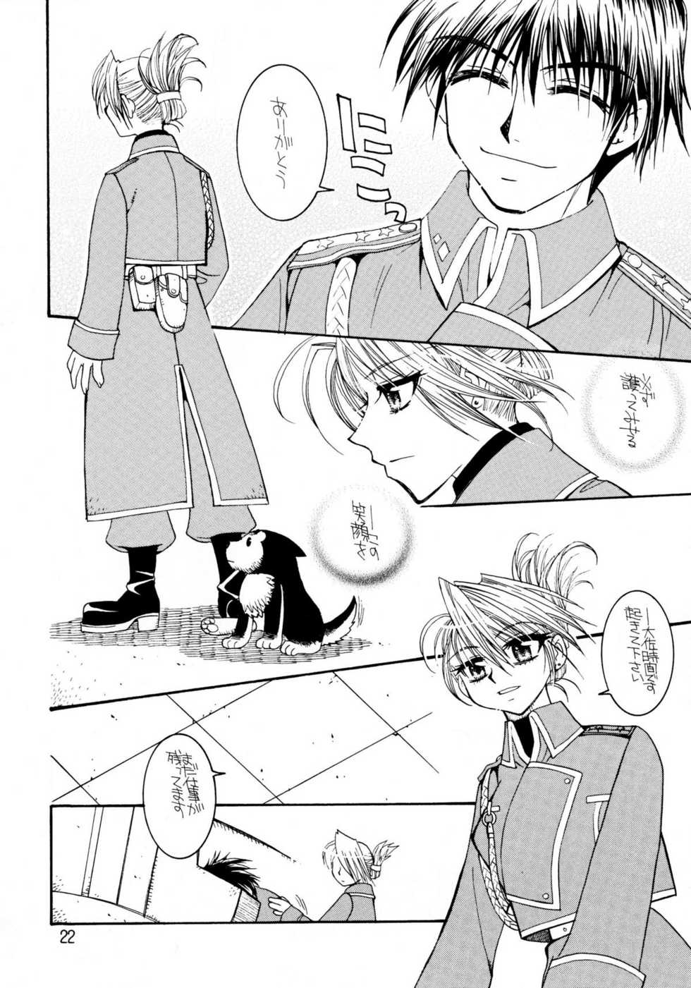 (C66) [SUBSONIC FACTOR (Tajima Ria)] The steady-state theory (Fullmetal Alchemist) - Page 21