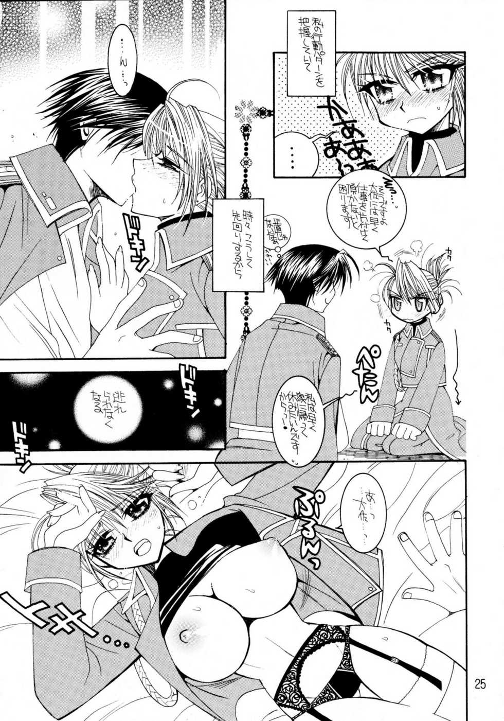 (C66) [SUBSONIC FACTOR (Tajima Ria)] The steady-state theory (Fullmetal Alchemist) - Page 24