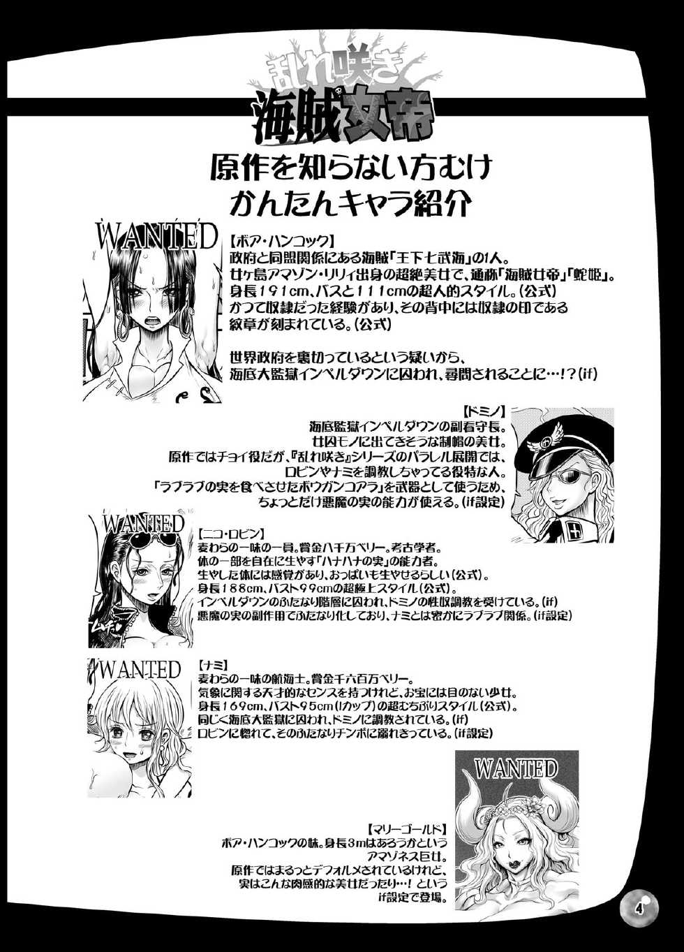 [Arsenothelus (Rebis, Chinbotsu)] Midarezaki Kaizoku Jotei (One Piece) [Korean] [Digital] - Page 3