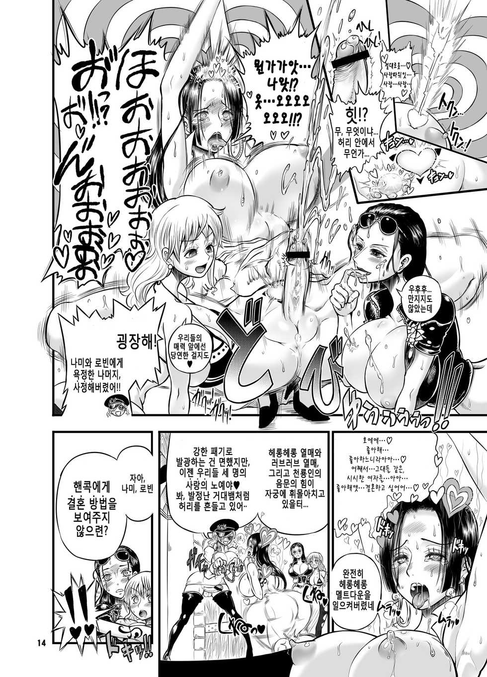 [Arsenothelus (Rebis, Chinbotsu)] Midarezaki Kaizoku Jotei (One Piece) [Korean] [Digital] - Page 11