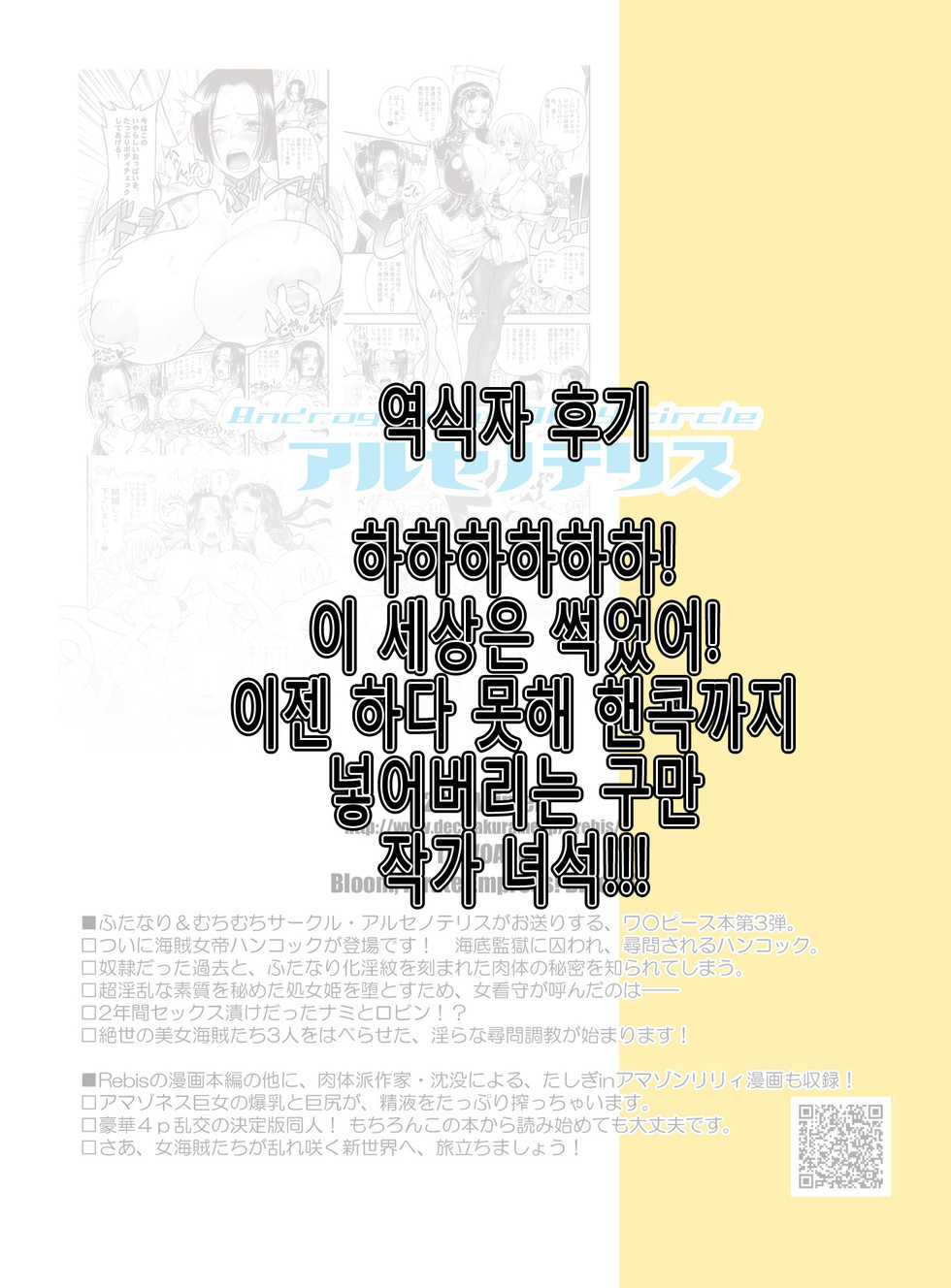 [Arsenothelus (Rebis, Chinbotsu)] Midarezaki Kaizoku Jotei (One Piece) [Korean] [Digital] - Page 26