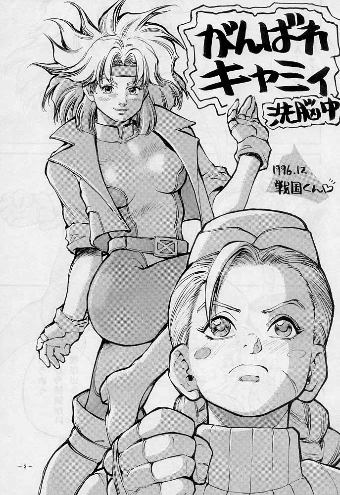 (C51) [D.G.S (Sengoku-kun)] Sengoku 2 (King of Fighters, Street Fighter) - Page 2