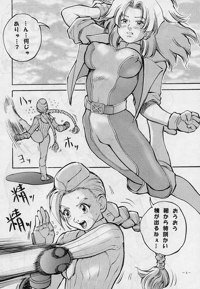 (C51) [D.G.S (Sengoku-kun)] Sengoku 2 (King of Fighters, Street Fighter) - Page 3