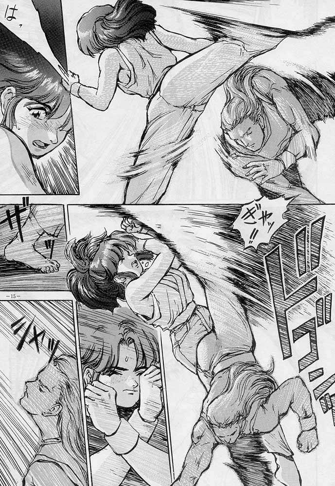 (C51) [D.G.S (Sengoku-kun)] Sengoku 2 (King of Fighters, Street Fighter) - Page 14