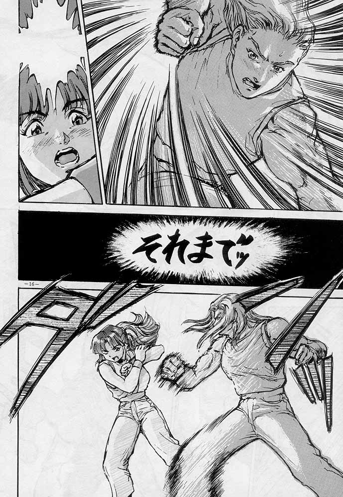 (C51) [D.G.S (Sengoku-kun)] Sengoku 2 (King of Fighters, Street Fighter) - Page 15