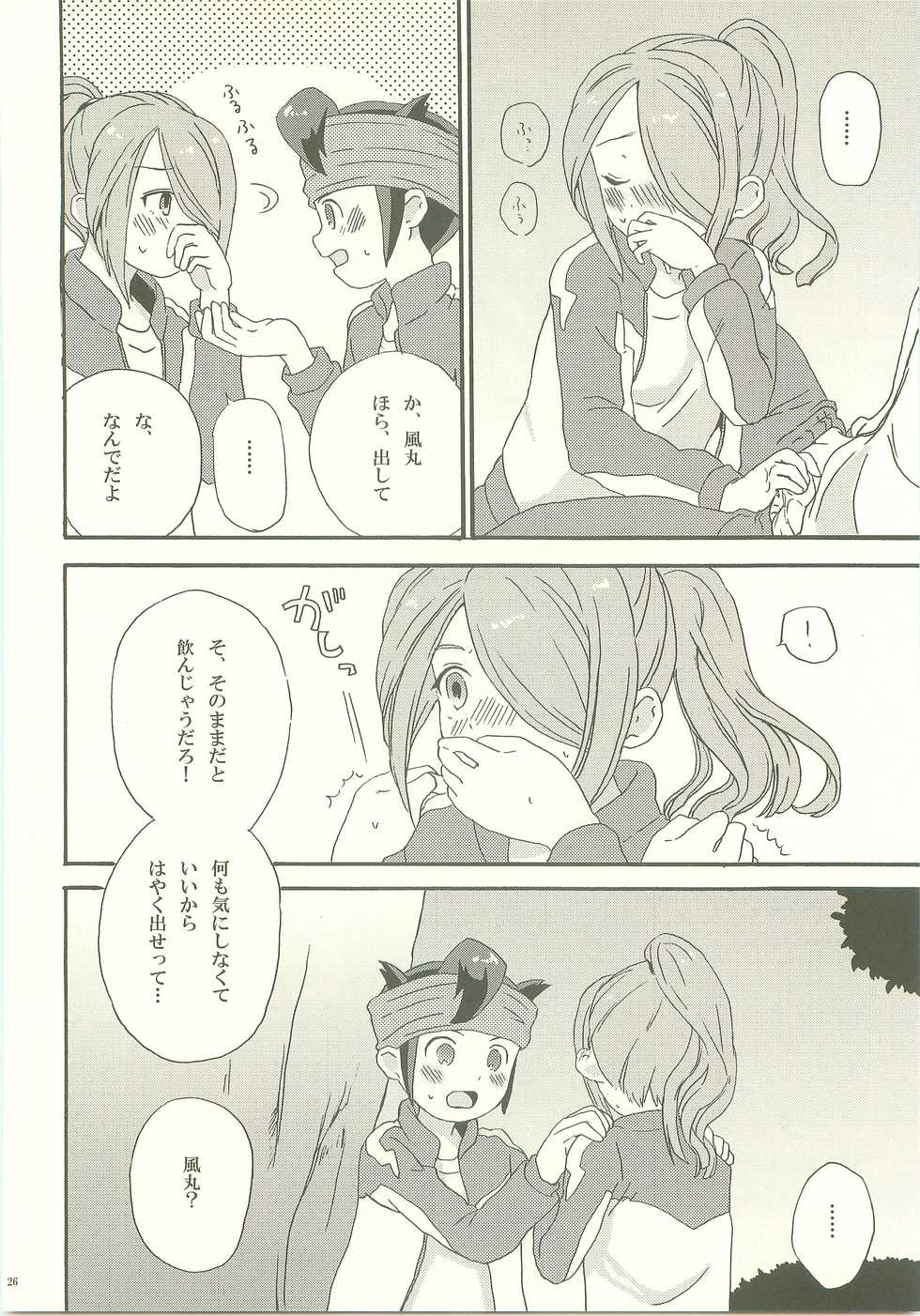 (Seishun Cup 3) [m-style (M)] Yohodo no Junjou (Inazuma Eleven) - Page 25
