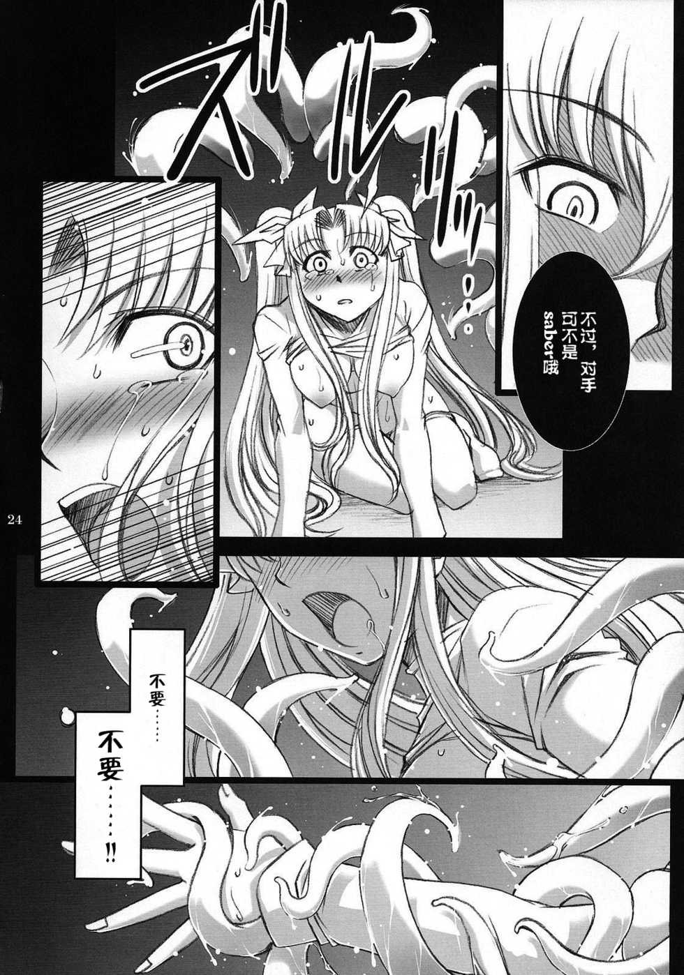 (C75) [H.B (B-RIVER)] Red Degeneration -DAY/4- (Fate/stay night) [Chinese] [不咕鸟汉化组] - Page 23