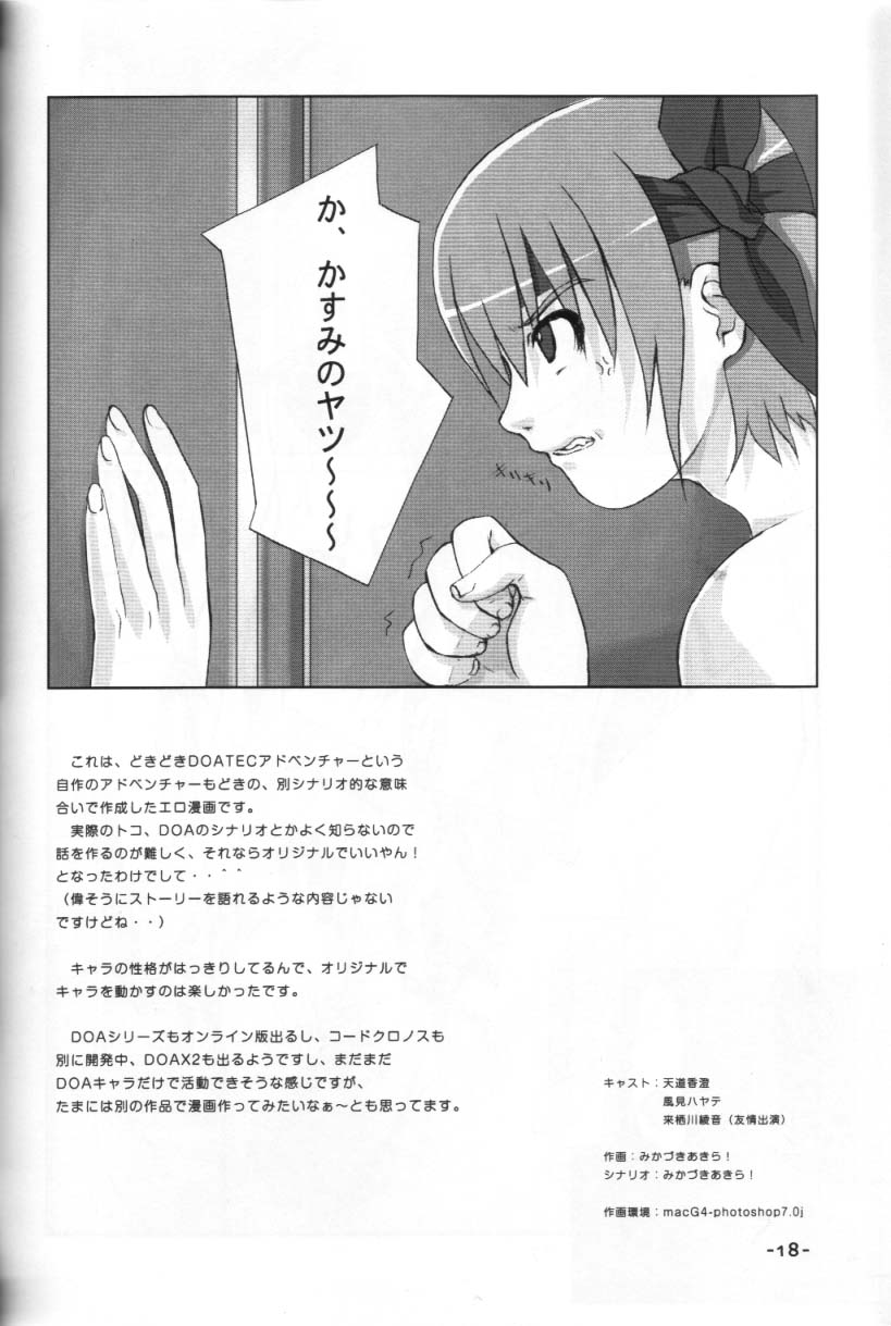 (C64) [TRI-MOON! (Mikazuki Akira!)] mono-colle 2 (Dead or Alive) - Page 17