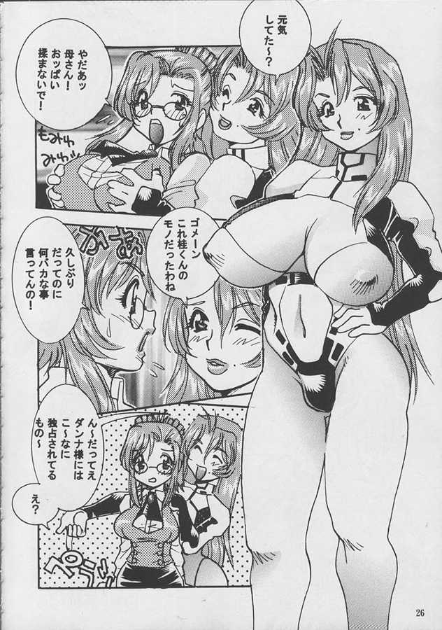 [KEBERO Corporation (Various)] Shin Hanzyuuryoku V (Various) - Page 25