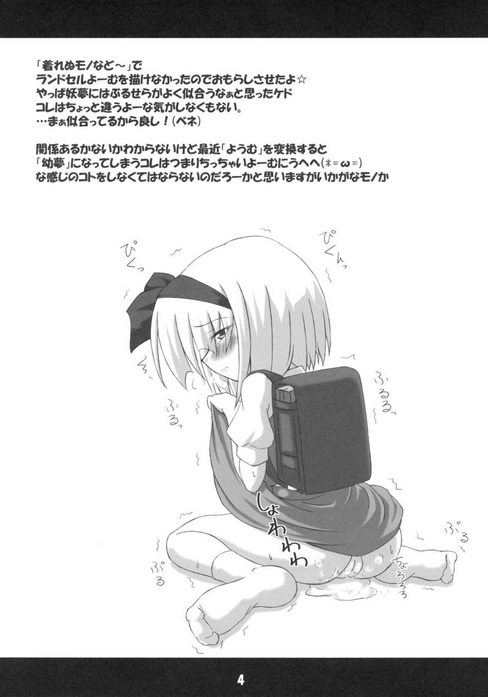 (C72) [Schwester (Inasaki Shirau)] Ochikko Youmu 2 (Touhou Project) - Page 4