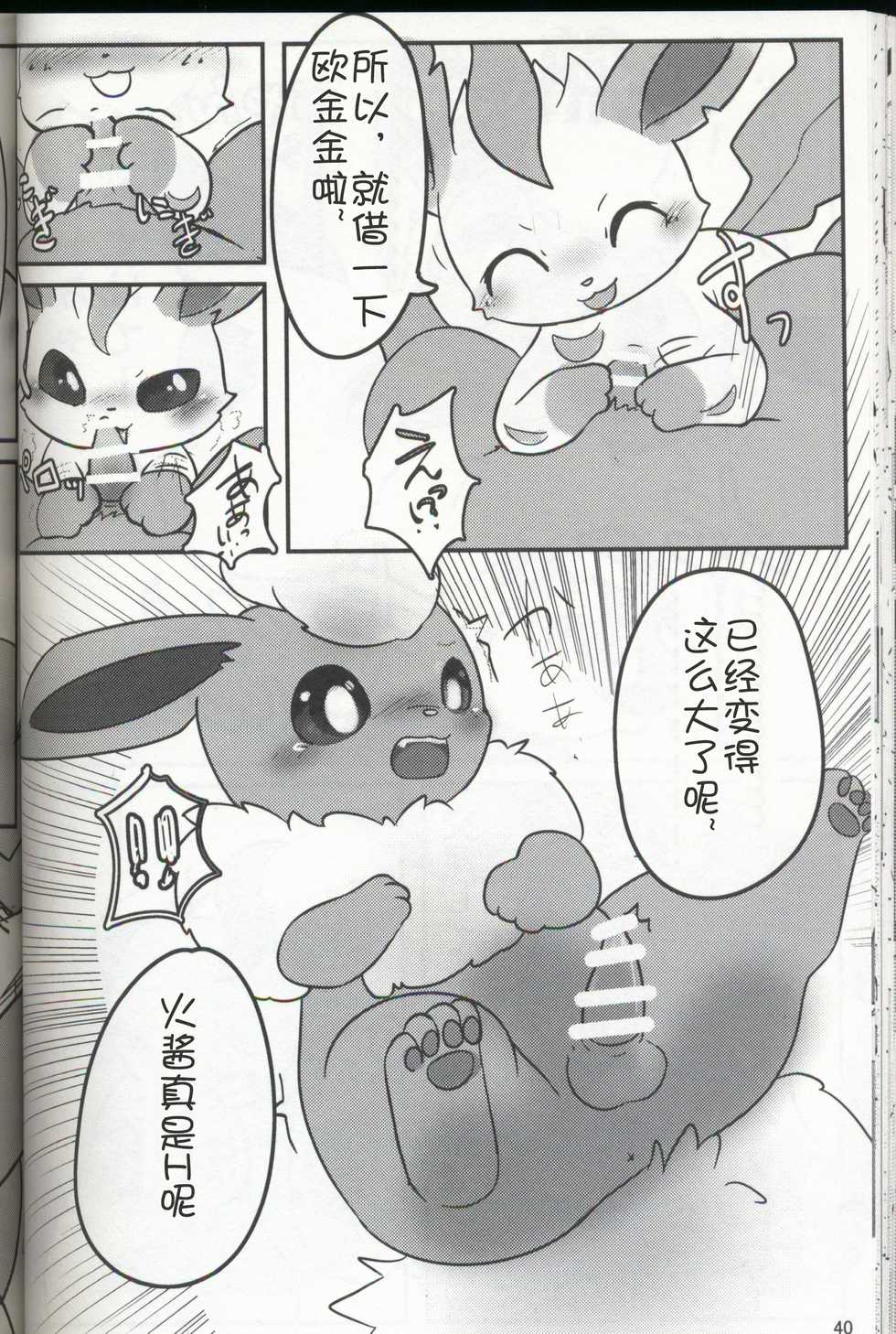 (C93) [BEart (Various)] EeveeROlution 3 (Pokémon) [Chinese] [虾皮汉化组] - Page 39