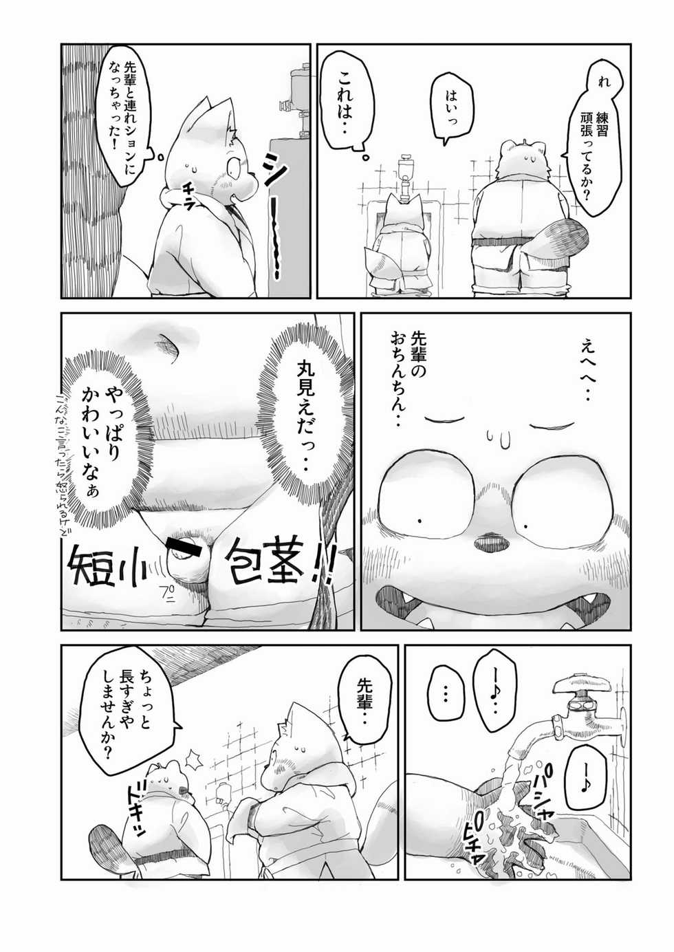 [Gozorop (Gup)] FUROSHIKIZUTSUMI 4 - Page 18