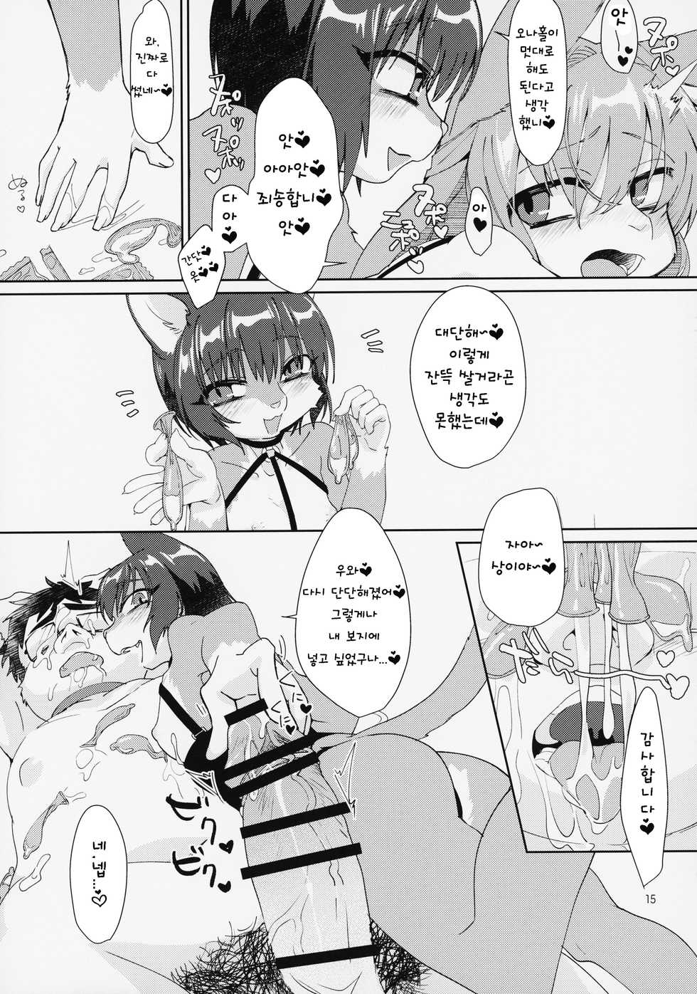 (Kemoket 7) [Nenneko Tanuki (Tanutan)] TOYBOX [Korean] [TeamHT] - Page 15