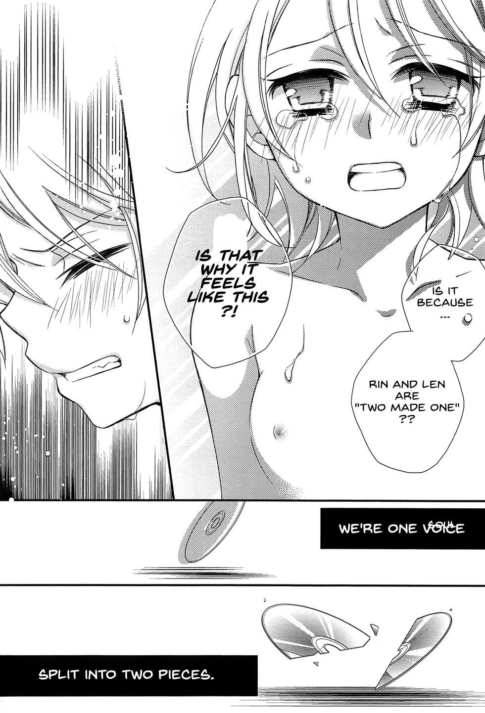 (C92) [SEVENTHSTAR (59)] Kagamine Len x Rin Seijin Muke Sairokushuu RECORD Rimen (VOCALOID) [English] {jtanonymus} [Incomplete] - Page 27
