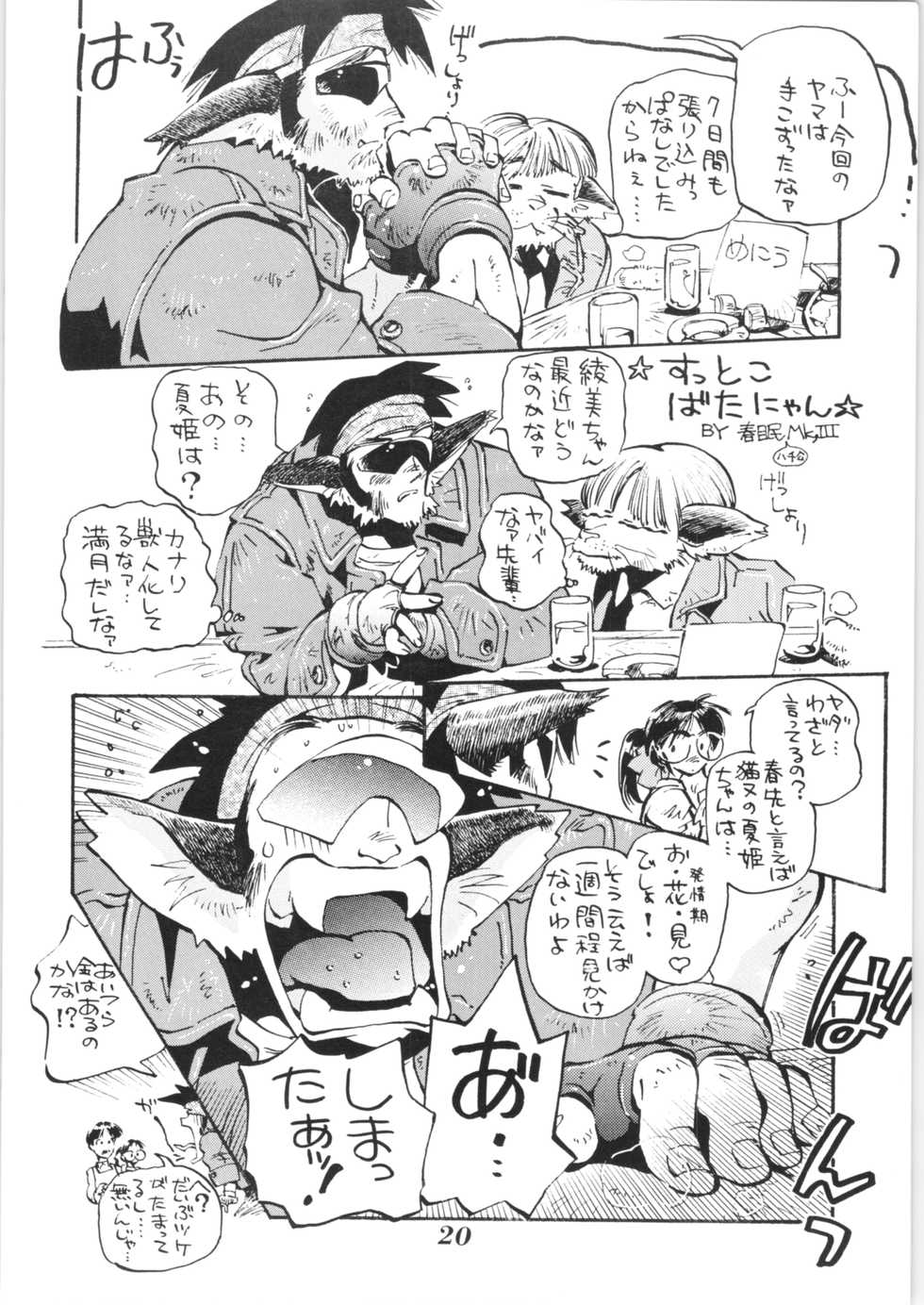 (C51) [EINSATZ GRUPPE (Various)] Hyper Police Inga Ouhou (Hyper Police) - Page 19