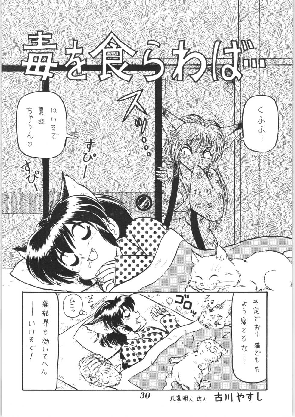 (C51) [EINSATZ GRUPPE (Various)] Hyper Police Inga Ouhou (Hyper Police) - Page 29