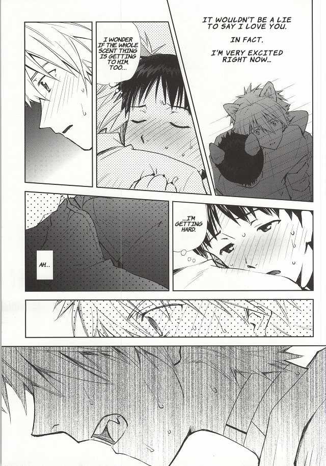 (C87) [Getsumen-Spiral (Mayama Satori)] Wanko na Kareshi Otonamuke (Neon Genesis Evangelion) [English] - Page 10
