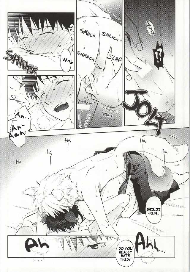 (C87) [Getsumen-Spiral (Mayama Satori)] Wanko na Kareshi Otonamuke (Neon Genesis Evangelion) [English] - Page 17