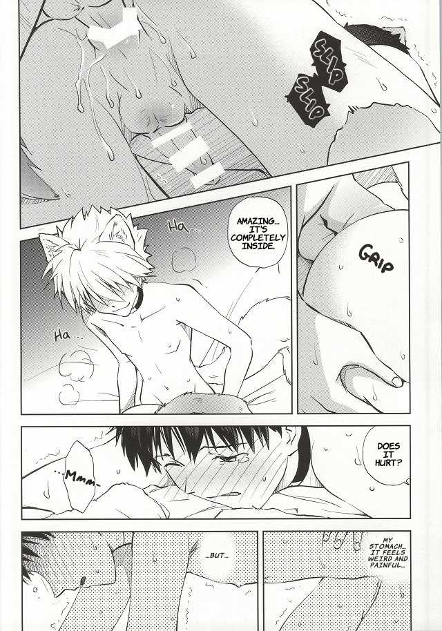 (C87) [Getsumen-Spiral (Mayama Satori)] Wanko na Kareshi Otonamuke (Neon Genesis Evangelion) [English] - Page 19