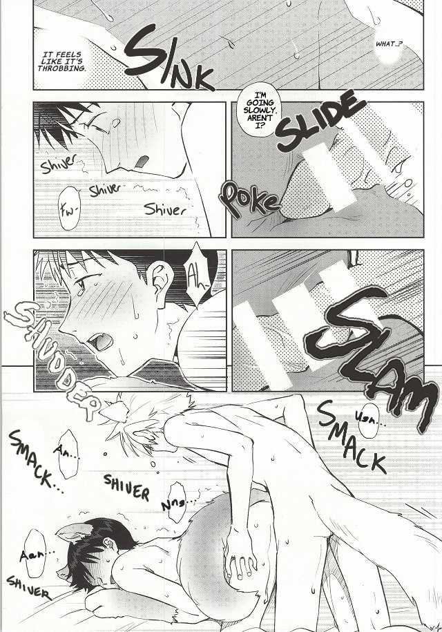 (C87) [Getsumen-Spiral (Mayama Satori)] Wanko na Kareshi Otonamuke (Neon Genesis Evangelion) [English] - Page 20