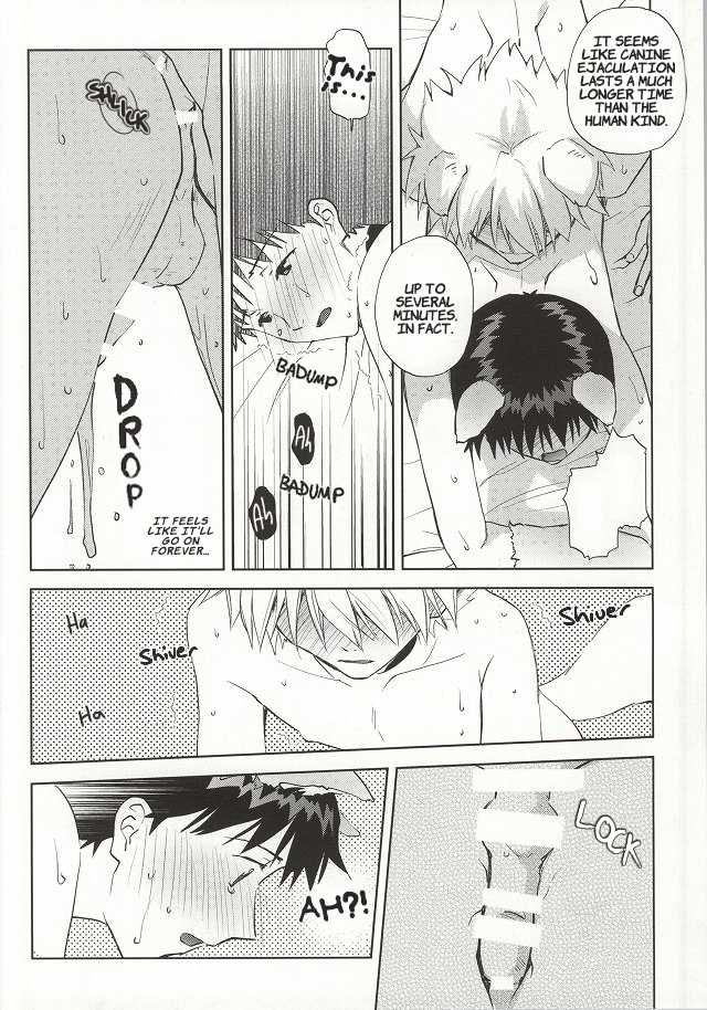 (C87) [Getsumen-Spiral (Mayama Satori)] Wanko na Kareshi Otonamuke (Neon Genesis Evangelion) [English] - Page 23