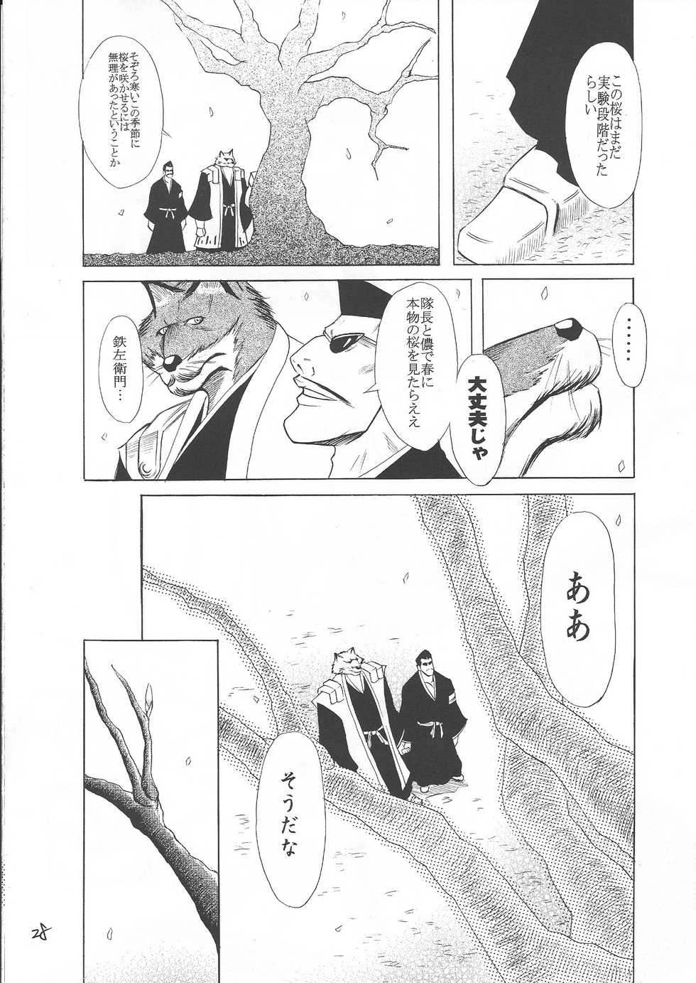 [GOO (Takagari Mitsuru & Tachikawa Akira)] Karei Naru Iba Nauer (BLEACH) - Page 27