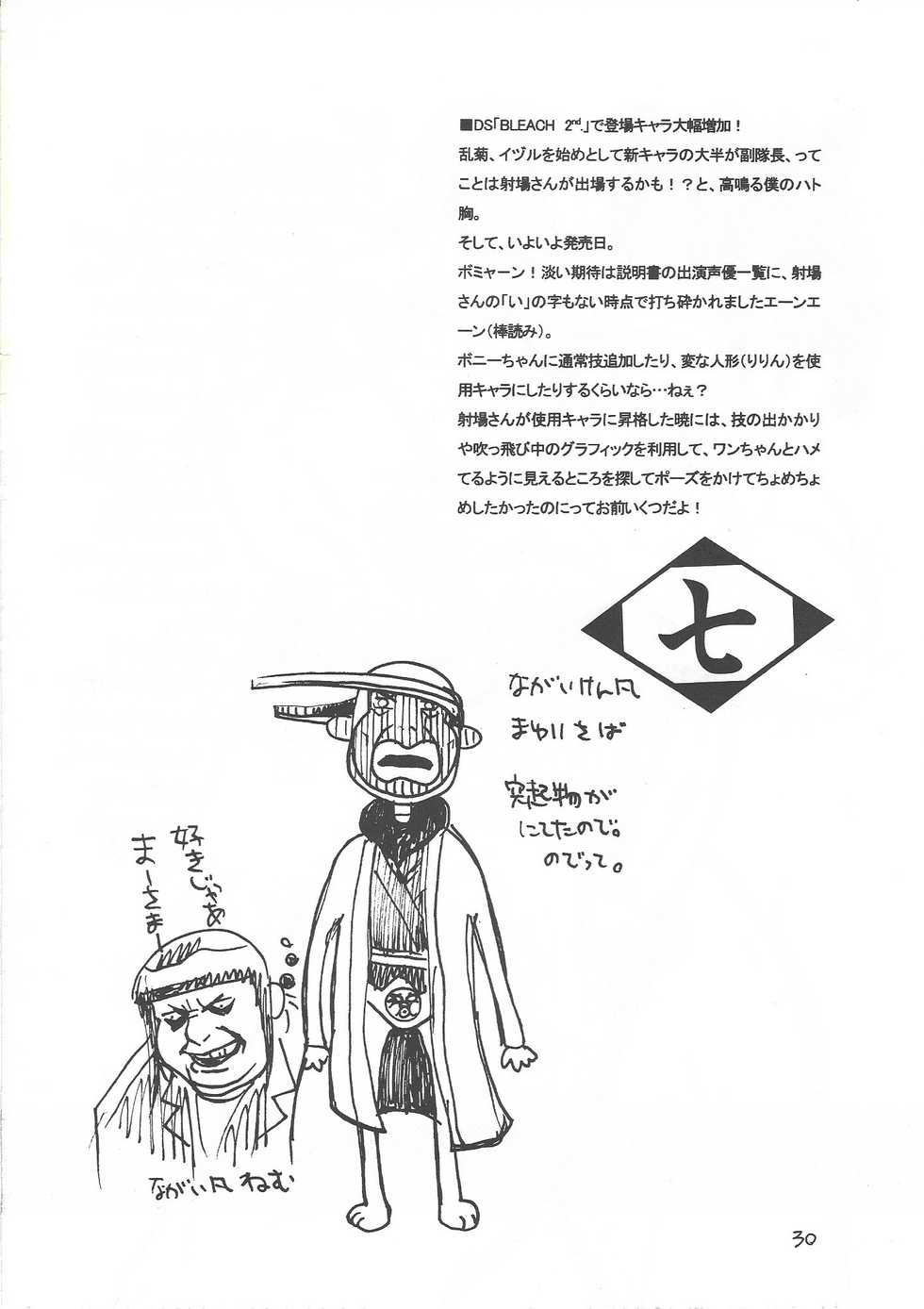 [GOO (Takagari Mitsuru & Tachikawa Akira)] Karei Naru Iba Nauer (BLEACH) - Page 29