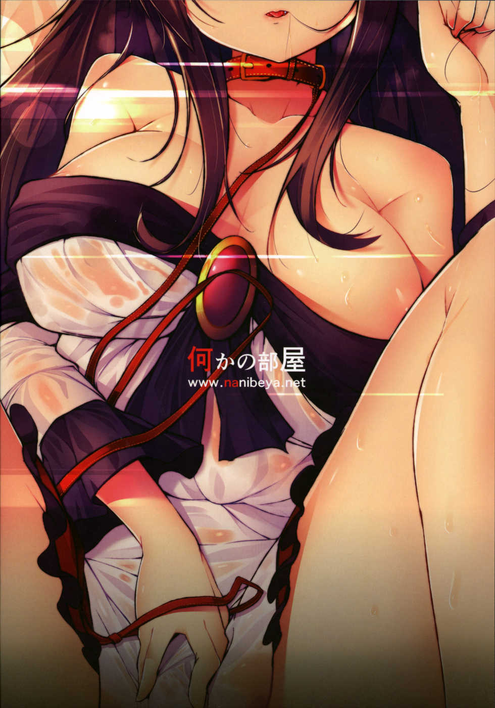 (Reitaisai 14) [Nanika no Heya (Hira)] Inu no Onee-chan no Hatsujou Nihikime (Touhou Project) [Chinese] [狗东西汉化组] - Page 28