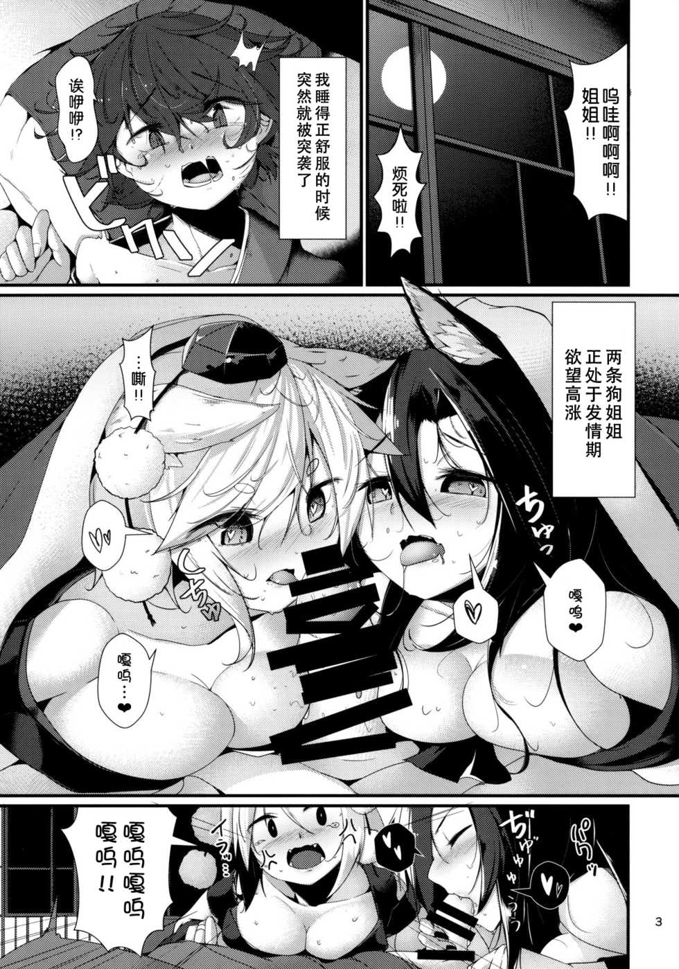 (Kouroumu 13) [Nanika no Heya (Hira)] Inu no Onee-chan-tachi no Hatsujou Shitsuke (Touhou Project) [Chinese] [狗东西汉化组] - Page 3