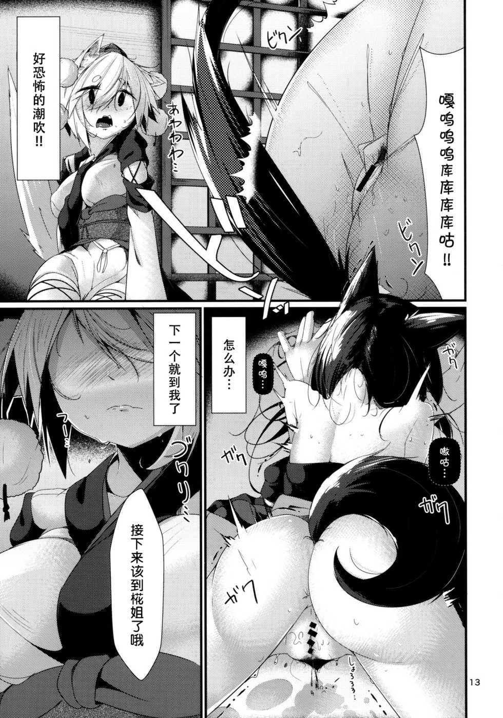 (Kouroumu 13) [Nanika no Heya (Hira)] Inu no Onee-chan-tachi no Hatsujou Shitsuke (Touhou Project) [Chinese] [狗东西汉化组] - Page 13