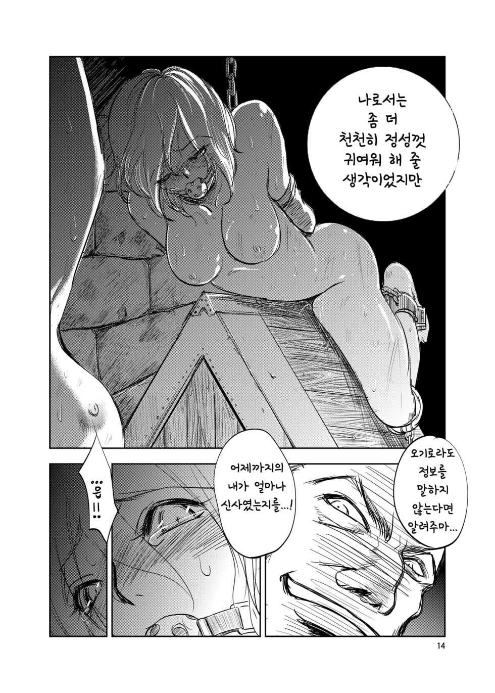 [Ikebukuro DPC (DPC)] GRASSEN'S WAR ANOTHER STORY Ex #01 Node Shinkou I | GRASSEN'S WAR ANOTHER STORY Ex #01 노드 침공 I [Korean] [도레솔] [Digital] - Page 15