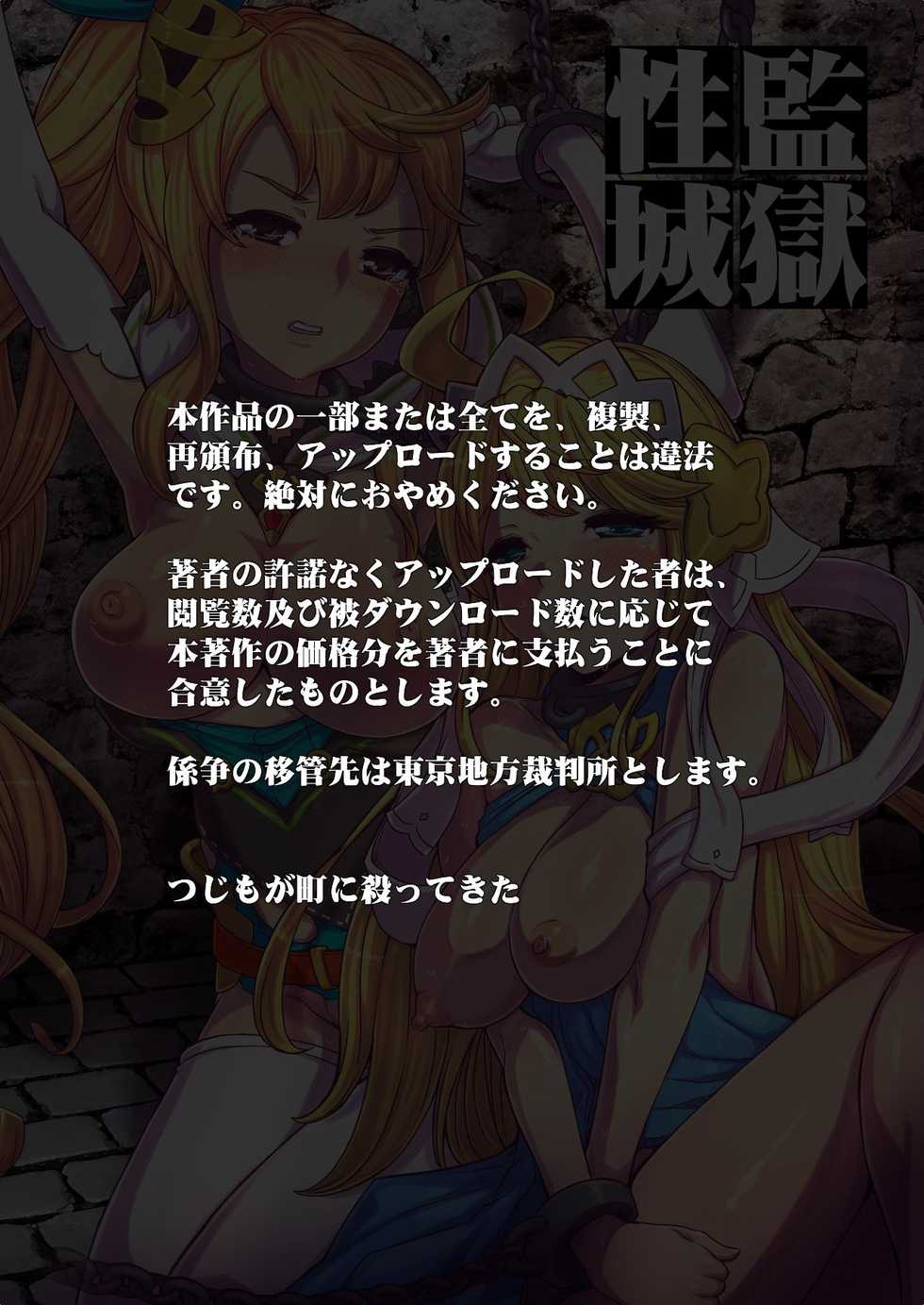 [Tsujimo ga Machi ni Yattekita!!! (Tsujizen)] Kangoku Seijou - Seijou Kanraku Gashuu (Dragalia Lost) - Page 3