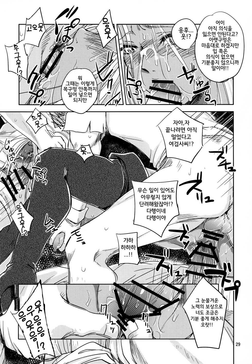 (C88) [Ikebukuro DPC (DPC)] GRASSEN'S WAR ANOTHER STORY Ex #04 Node Shinkou IV | GRASSEN'S WAR ANOTHER STORY Ex #04 노드침공 IV [Korean] [도레솔] - Page 30