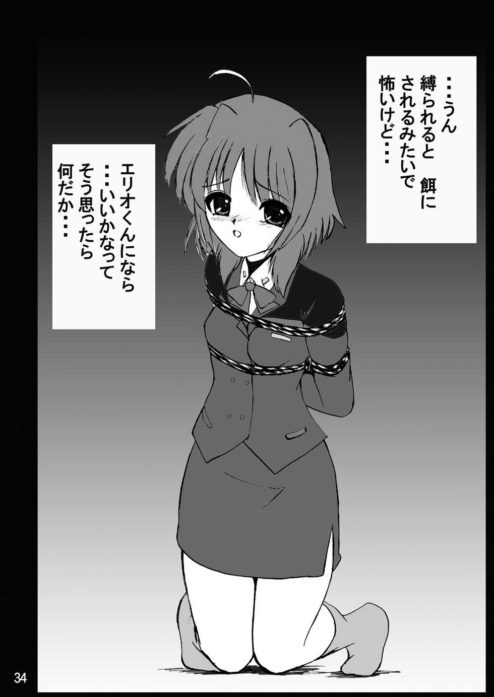 [Thirty Saver Street (Various)] Storage Ignition 10 (Mahou Shoujo Lyrical Nanoha) [Digital] - Page 33