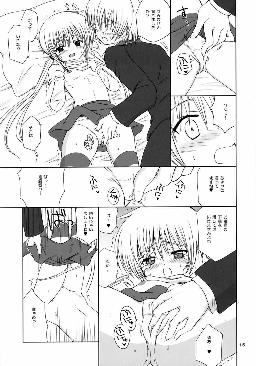 (C71) [Nikopondo (Aoyama Reo)] Sugar Baby (Hayate no Gotoku!) - Page 14