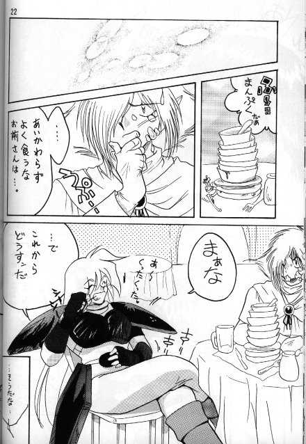 [Ginmomodou (Mita Satomi)] Slayers Adult 5 (Slayers) - Page 20