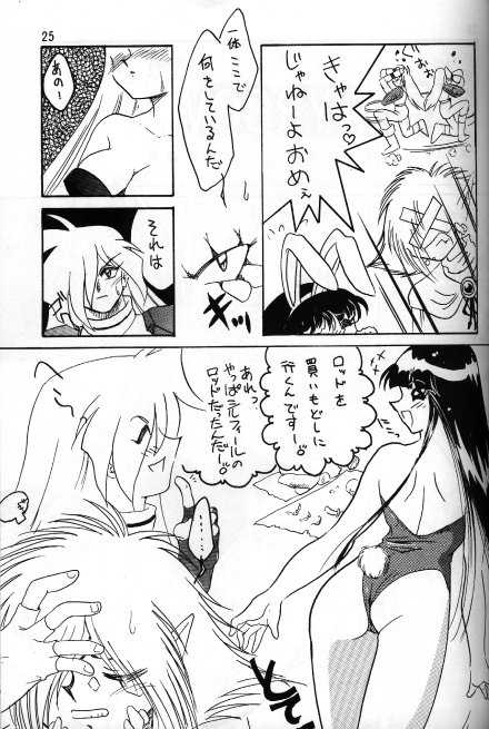 [Ginmomodou (Mita Satomi)] Slayers Adult 5 (Slayers) - Page 23