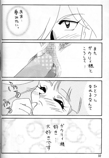 [Ginmomodou (Mita Satomi)] Slayers Adult 5 (Slayers) - Page 30