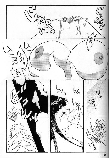 [Ginmomodou (Mita Satomi)] Slayers Adult 5 (Slayers) - Page 33